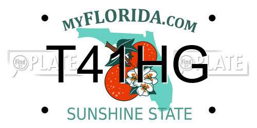 T41HG Florida License Plate