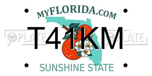 T41KM Florida License Plate