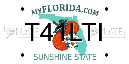 T41LTI Florida License Plate