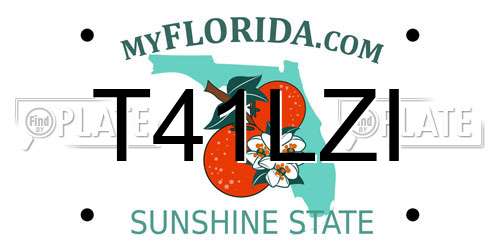 T41LZI Florida License Plate
