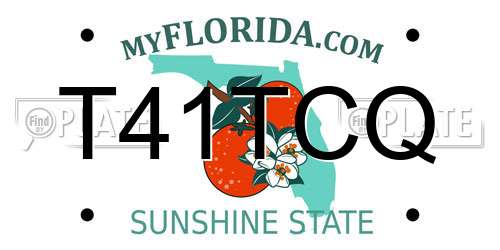 T41TCQ Florida License Plate
