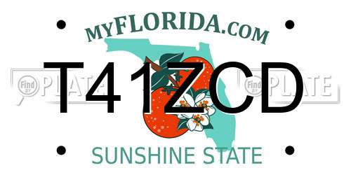 T41ZCD Florida License Plate
