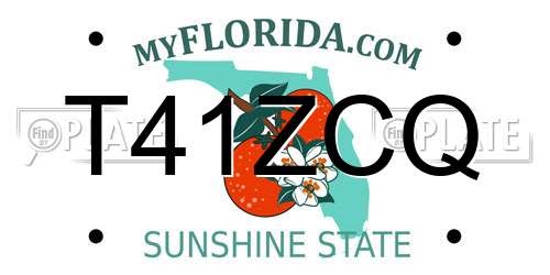 T41ZCQ Florida License Plate
