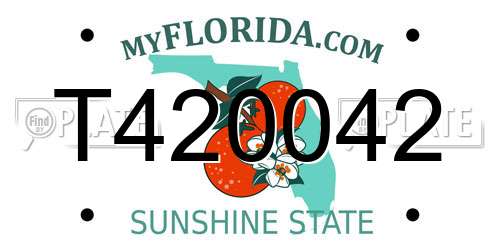 T420042 Florida License Plate