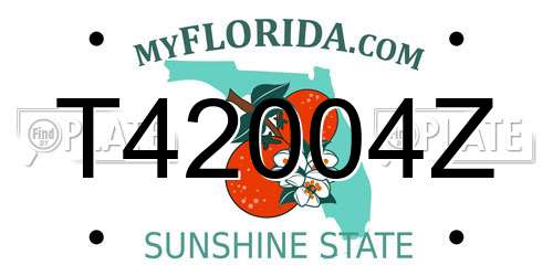 T42004Z Florida License Plate