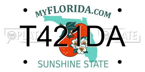 T421DA Florida License Plate