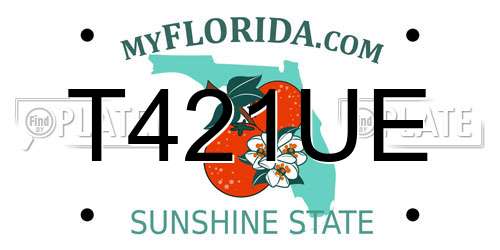 T421UE Florida License Plate