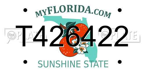 T426422 Florida License Plate