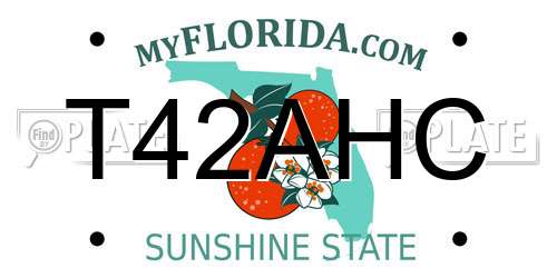 T42AHC Florida License Plate