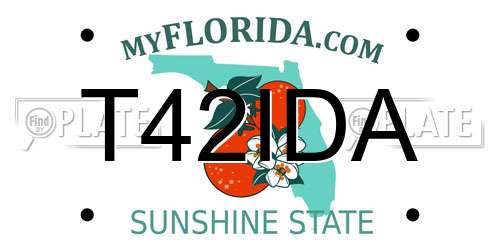 T42IDA Florida License Plate