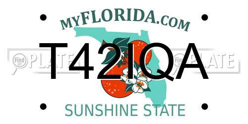 T42IQA Florida License Plate