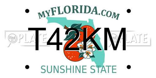 T42KM Florida License Plate