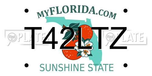 T42LTZ Florida License Plate