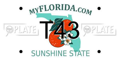 T43 Florida License Plate