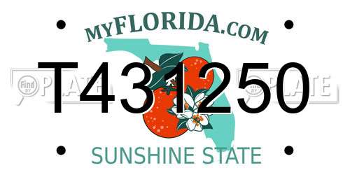 T431250 Florida License Plate