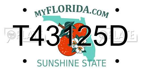 T43125D Florida License Plate