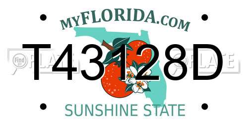 T43128D Florida License Plate