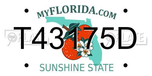 T43175D Florida License Plate