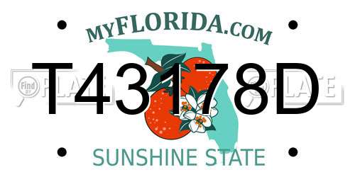 T43178D Florida License Plate