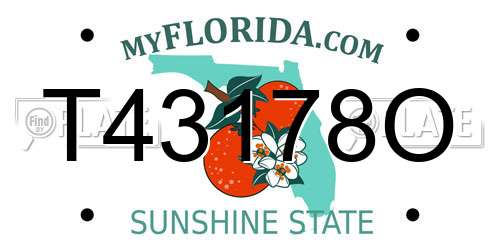 T43178O Florida License Plate