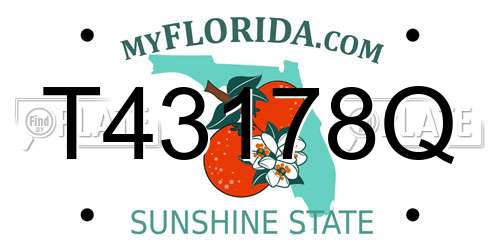 T43178Q Florida License Plate