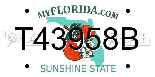 T43958B Florida License Plate
