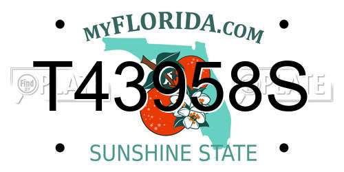T43958S Florida License Plate