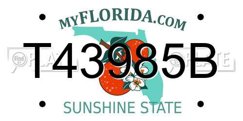 T43985B Florida License Plate
