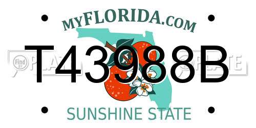T43988B Florida License Plate