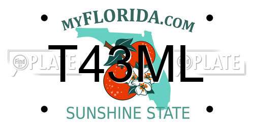 T43ML Florida License Plate