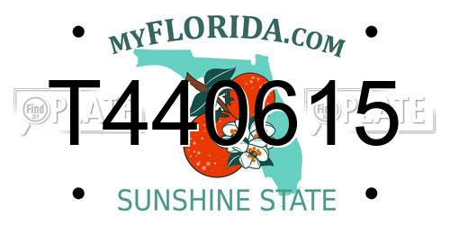 T440615 Florida License Plate