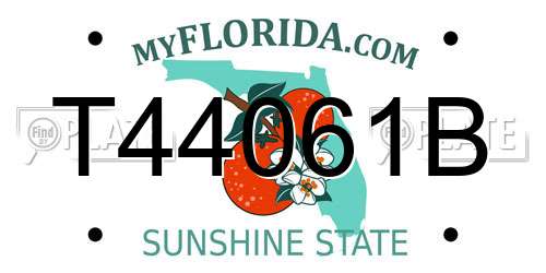 T44061B Florida License Plate