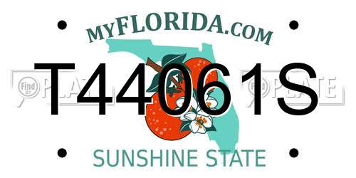 T44061S Florida License Plate