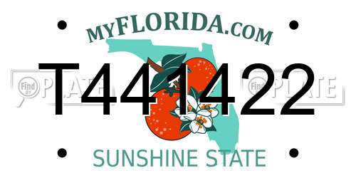 T441422 Florida License Plate
