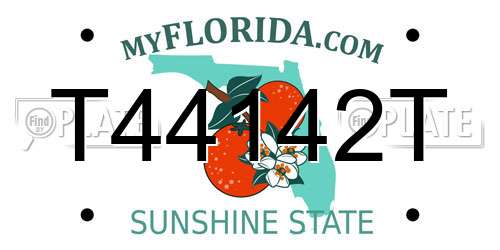 T44142T Florida License Plate