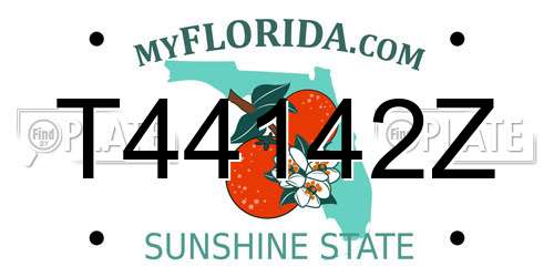 T44142Z Florida License Plate