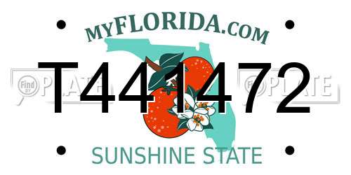 T441472 Florida License Plate