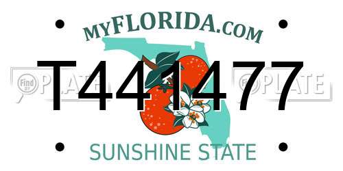 T441477 Florida License Plate