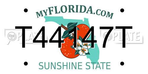 T44147T Florida License Plate