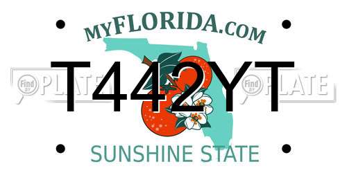 T442YT Florida License Plate