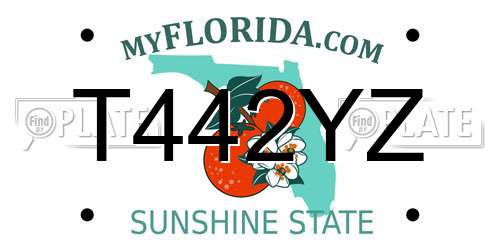 T442YZ Florida License Plate