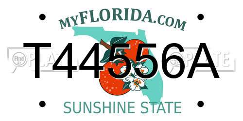 T44556A Florida License Plate