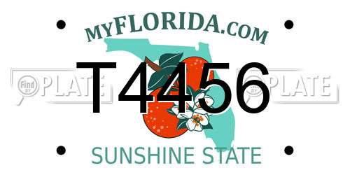 T4456 Florida License Plate