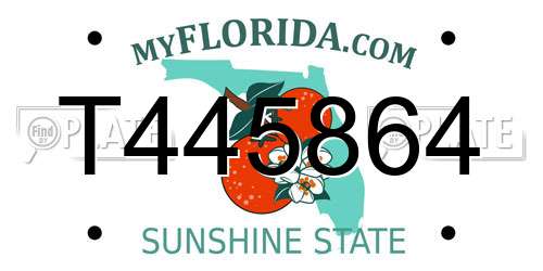 T445864 Florida License Plate