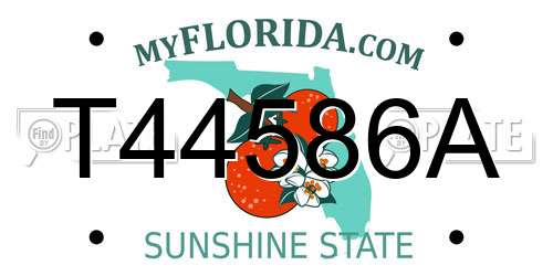 T44586A Florida License Plate