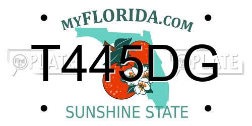 T445DG Florida License Plate