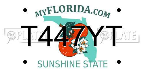 T447YT Florida License Plate