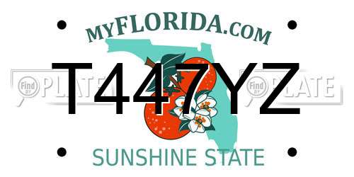 T447YZ Florida License Plate