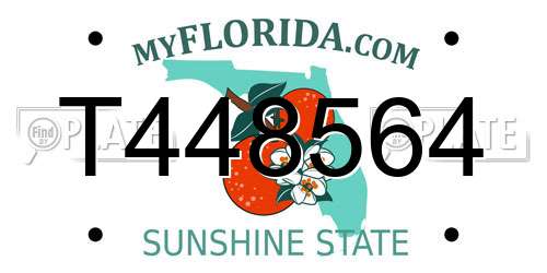 T448564 Florida License Plate