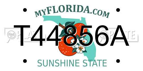 T44856A Florida License Plate